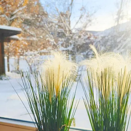 아파트 Haus Am Seebach Weidach 로이타쉬